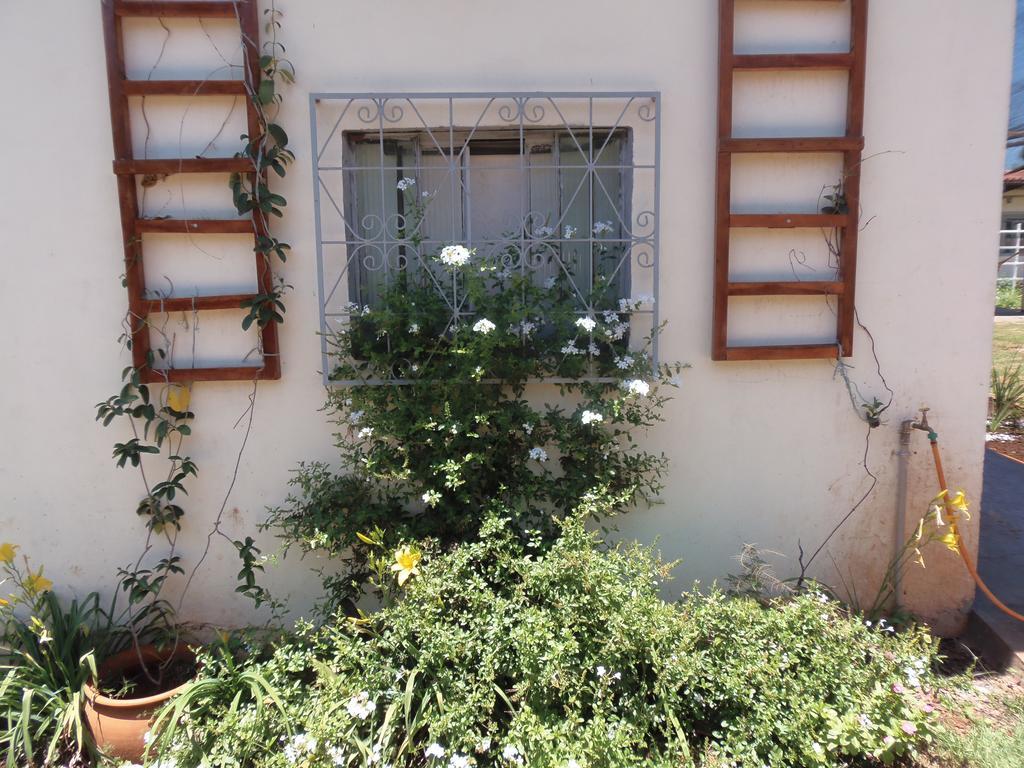 Meliza's Garden 2*