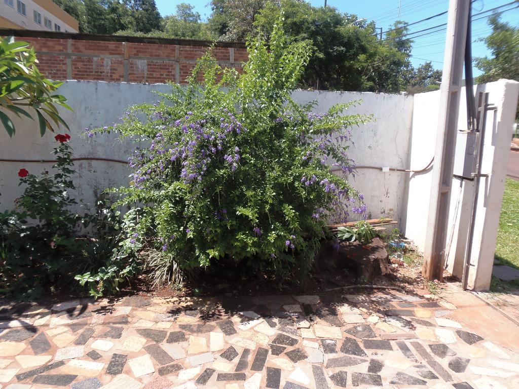 Meliza's Garden 2*