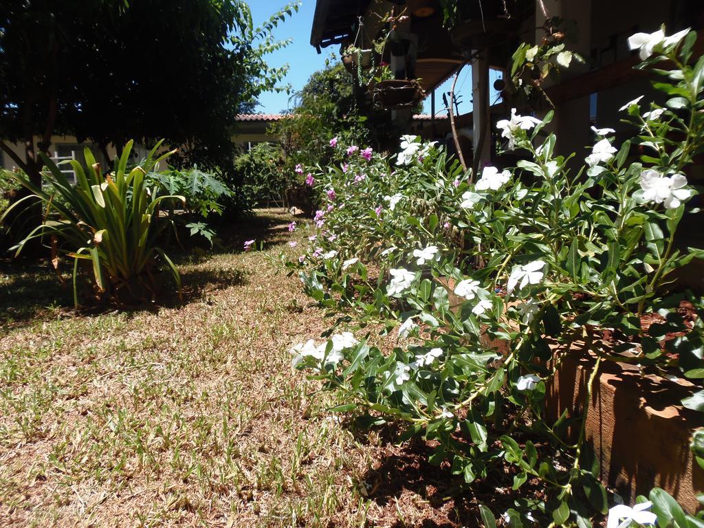 Meliza's Garden