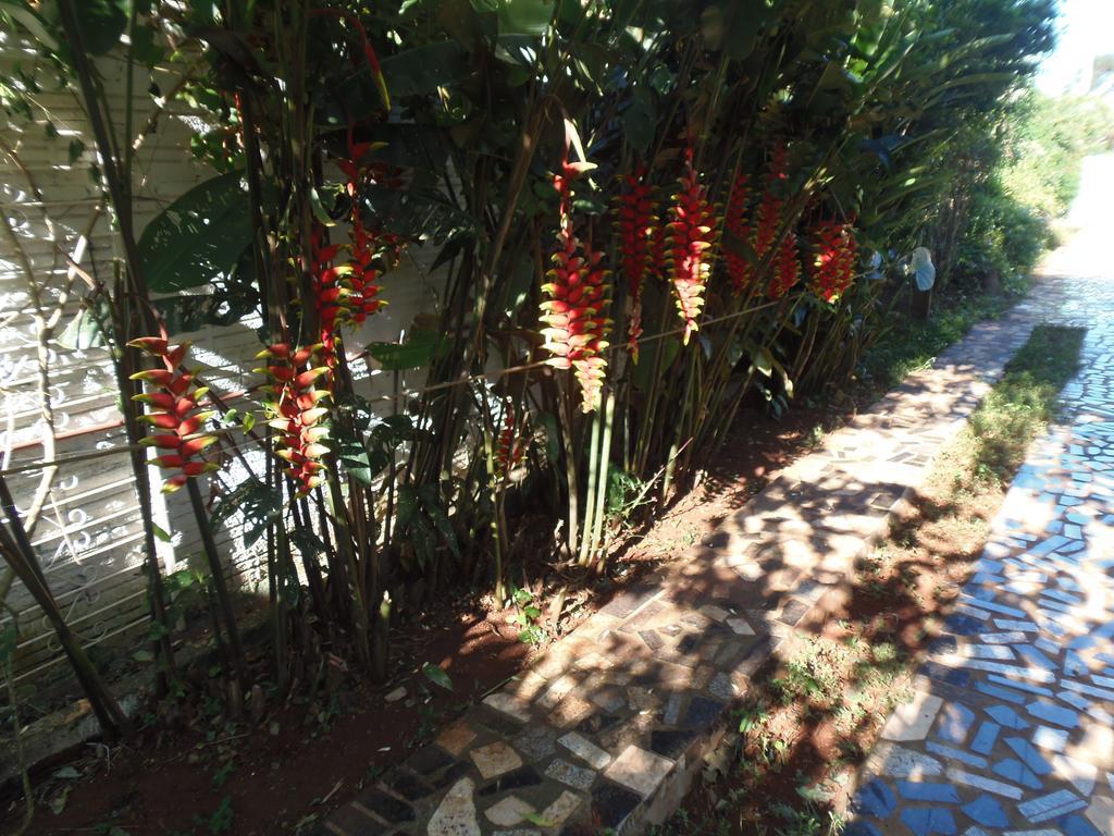 Meliza's Garden